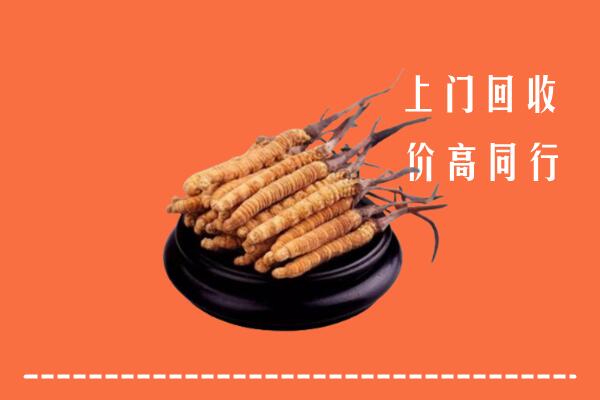 收购行情：厦门市思明回收散虫草